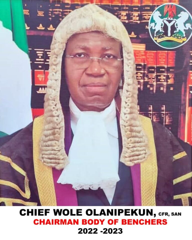 Chief Wole Olanipekun